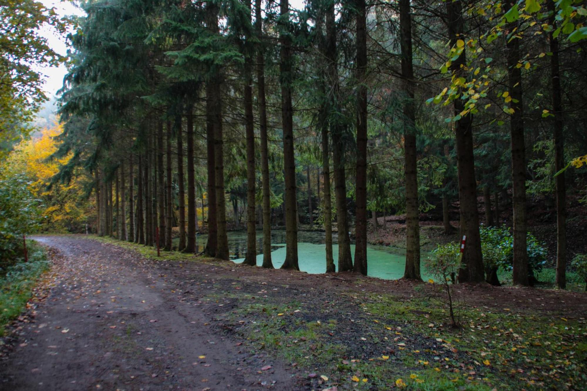 Fh "Baeren Ecke" Am See Im Hessischen Bergland Kirchheim  Exteriér fotografie