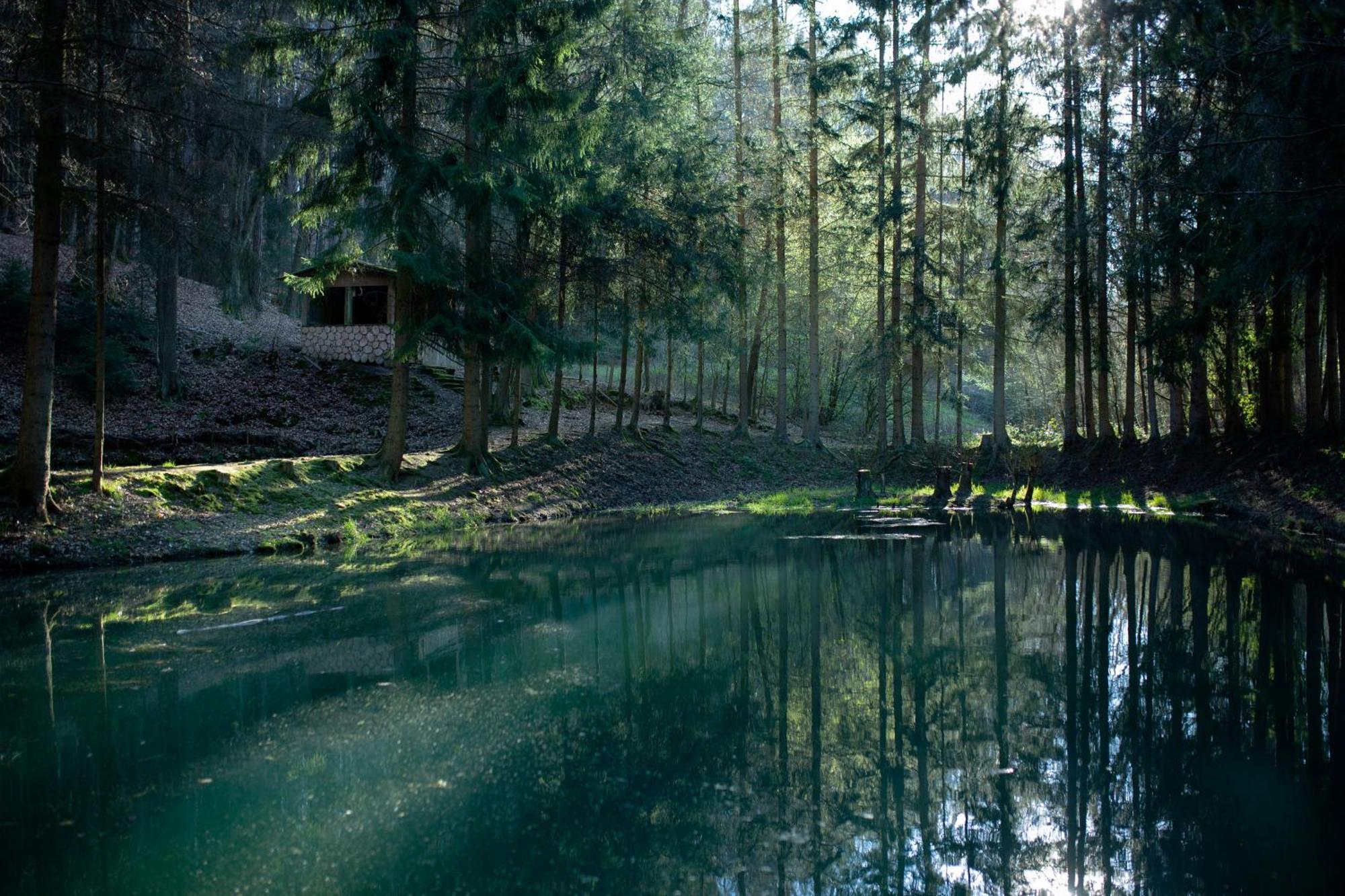 Fh "Baeren Ecke" Am See Im Hessischen Bergland Kirchheim  Exteriér fotografie